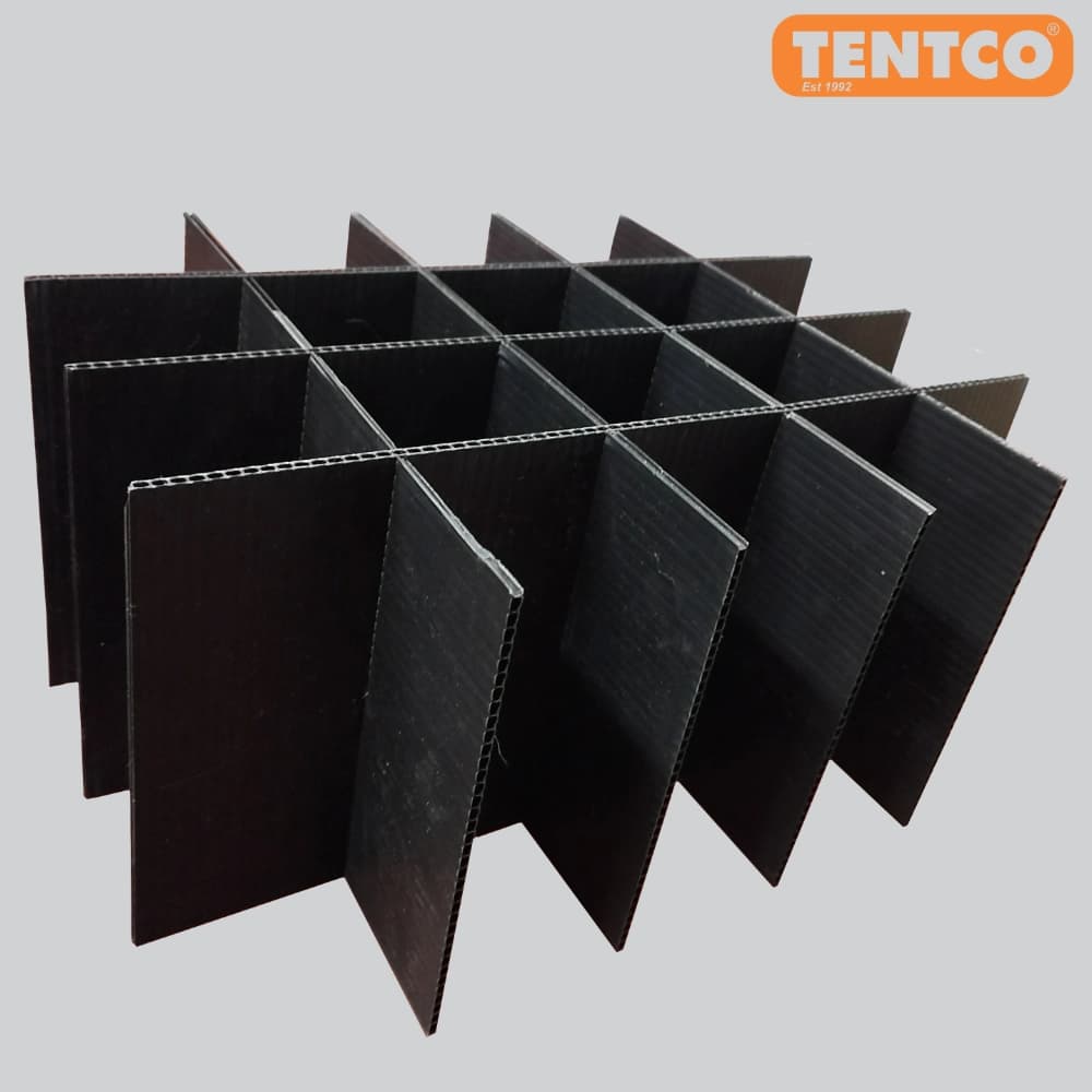 Tentco Box 20 Divider