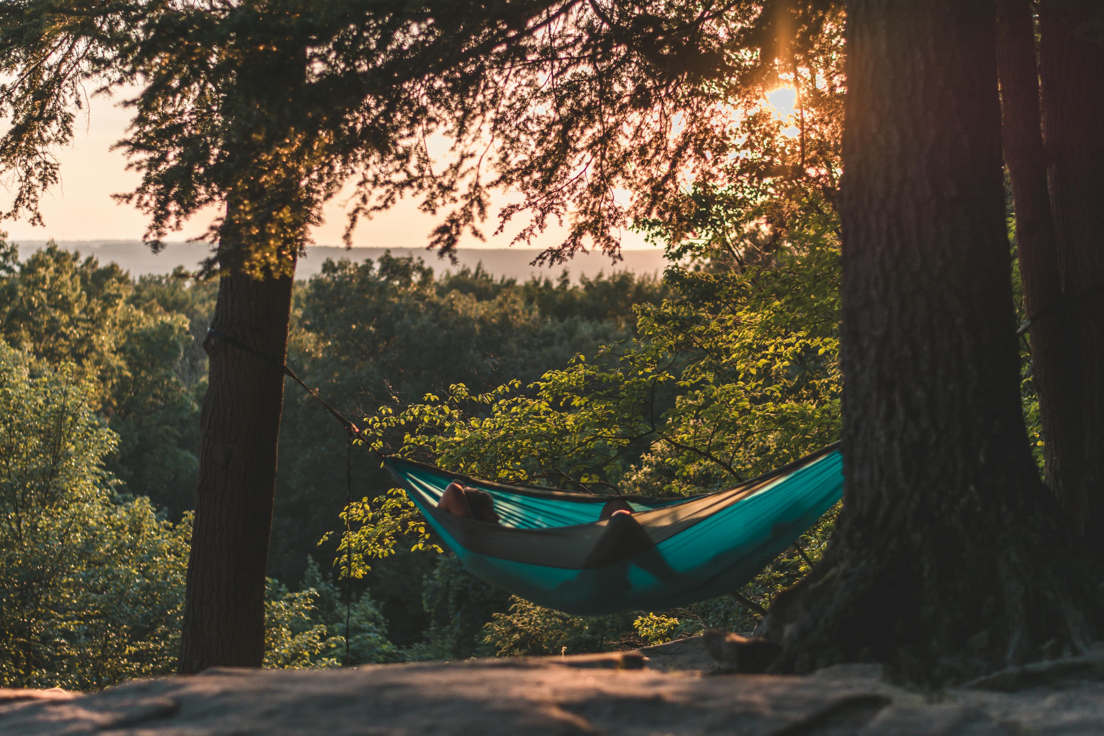 NightOwl Hammock