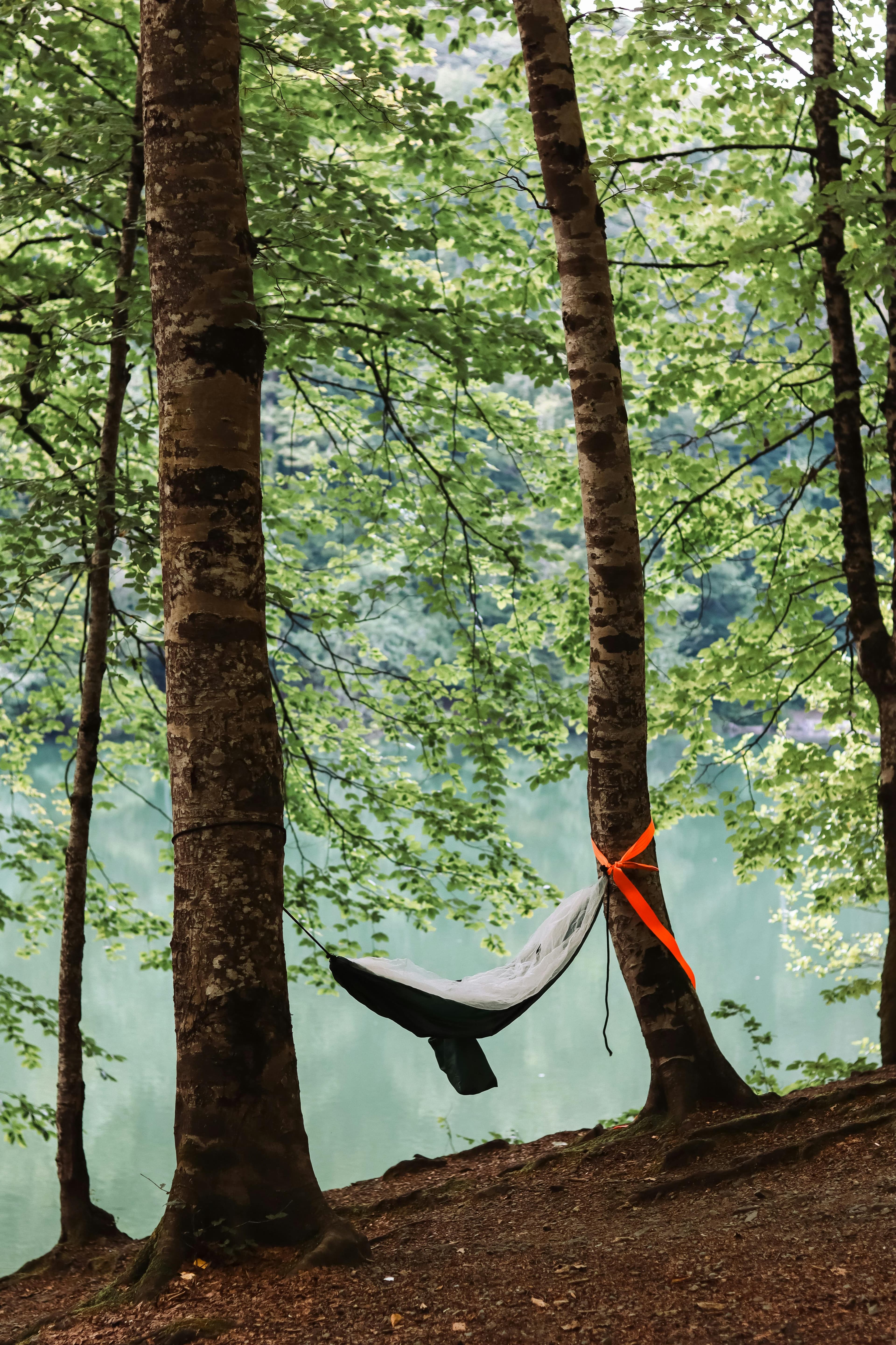 TrailRest Pad