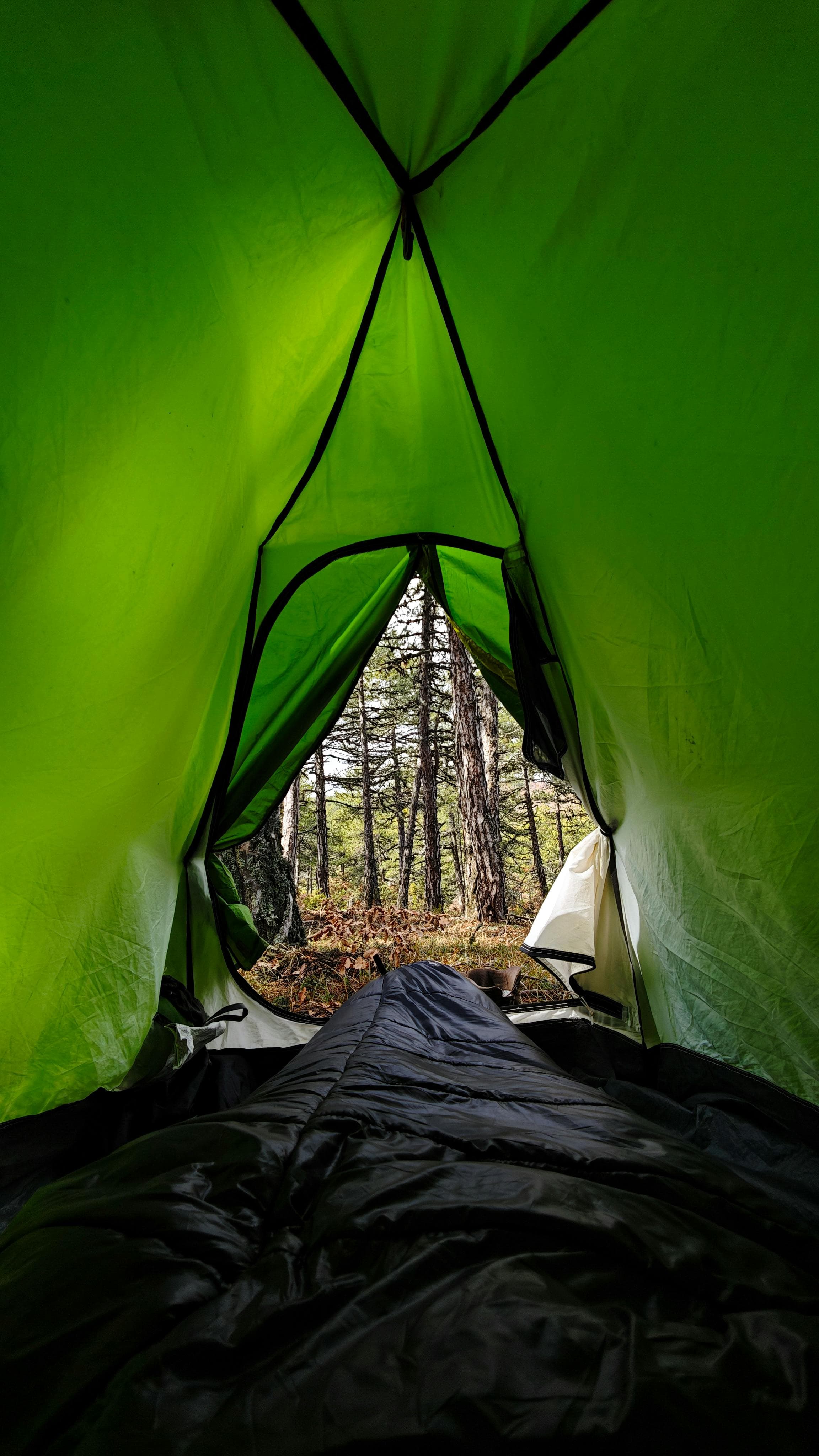 CozyTrail Blanket
